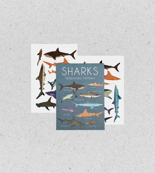 Kids Tattoo "Haie" | 18 Stück